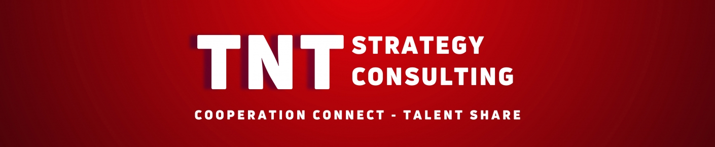 CÔNG TY TNHH TNT STRATEGY CONSULTING