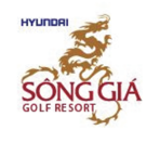 Hyundai E&C Vina Song Gia Co., Ltd.