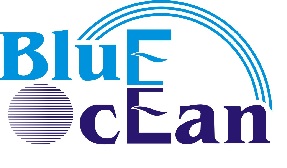 Blue Ocean Education Group