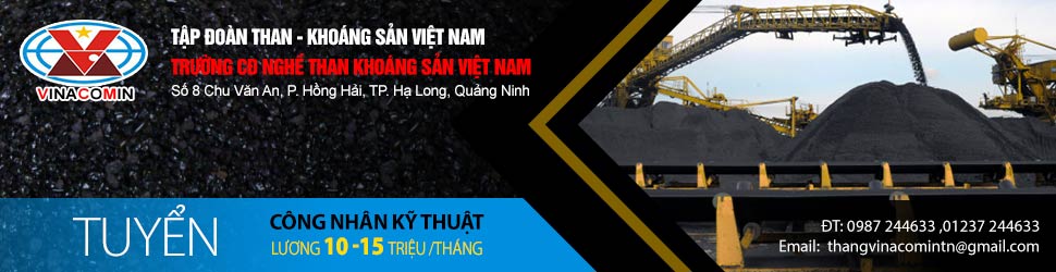 Tập đoàn than - khoáng sản Việt Nam - Trường cao đẳng nghề than khoáng sản Việt Nam