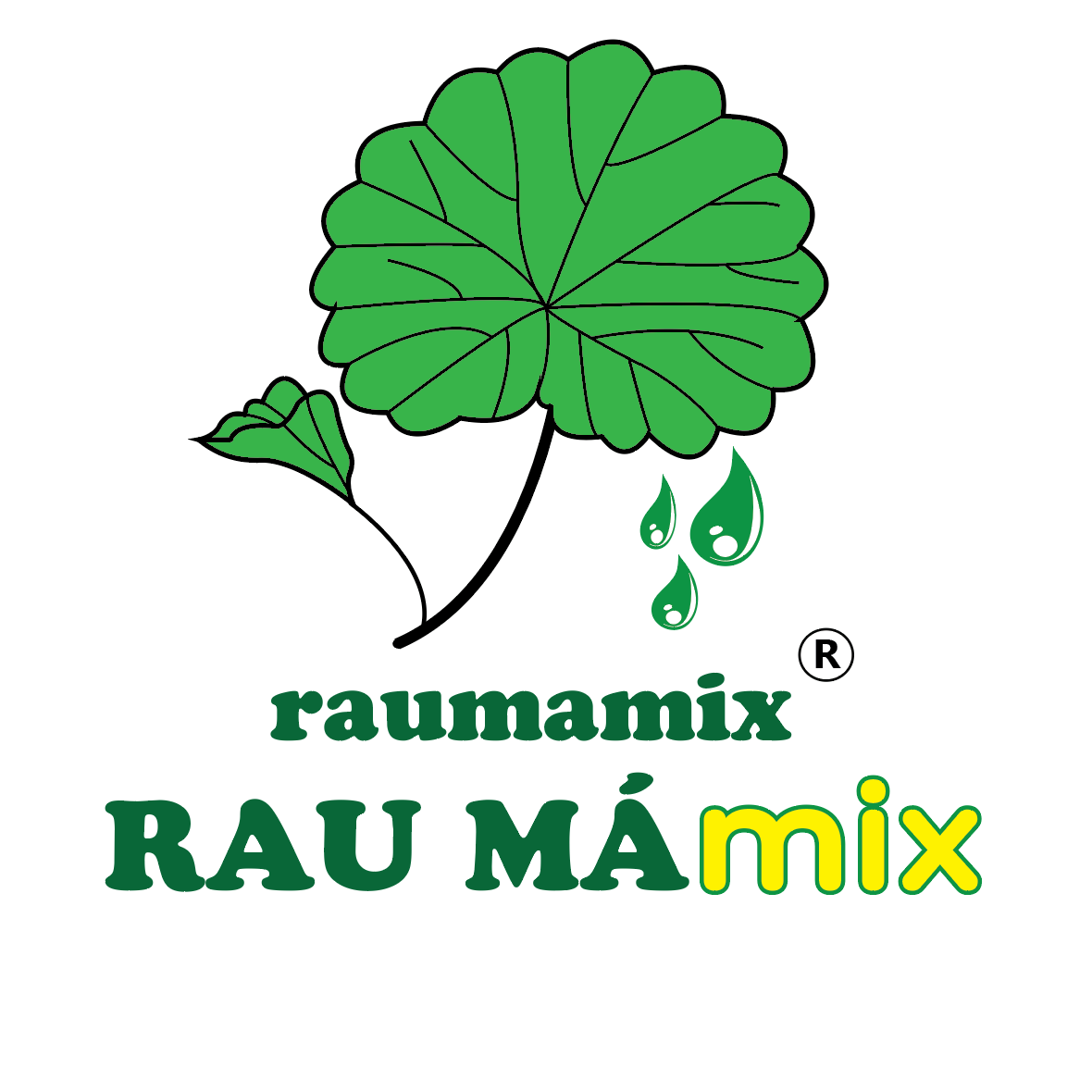 HỆ THỐNG RAU MÁ MIX