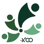 CÔNG TY CP ĐẦU TƯ X