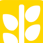 Công ty Sợi Chỉ Vàng 