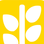 Công ty Sợi Chỉ Vàng 