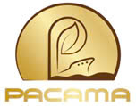 INTERNATIONAL SALES EXECUTIVE logo