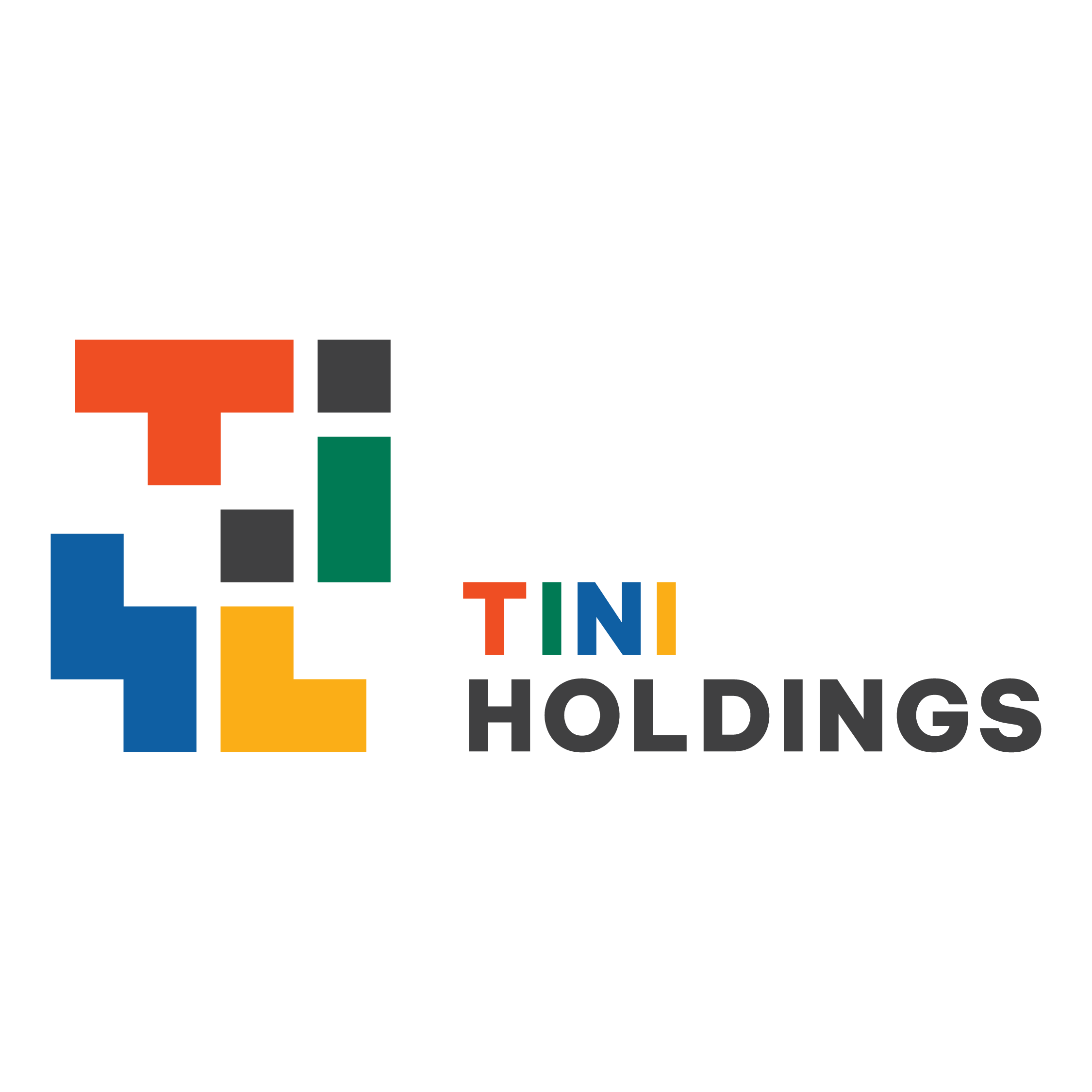 CÔNG TY CỔ PHẦN ĐẦU TƯ TINI HOLDINGS logo-company