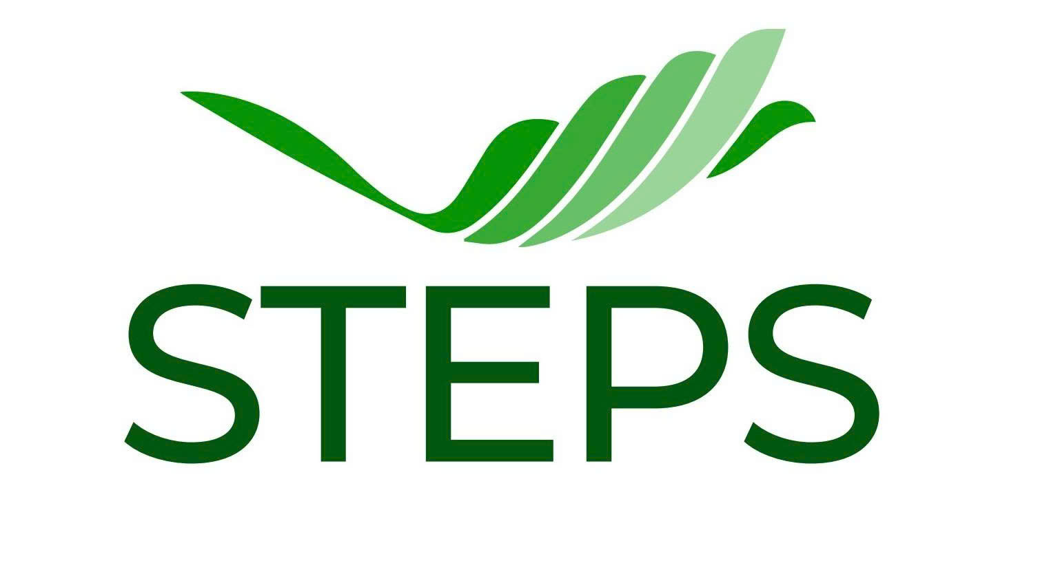 Công Ty TNHH Multi Tech Solution