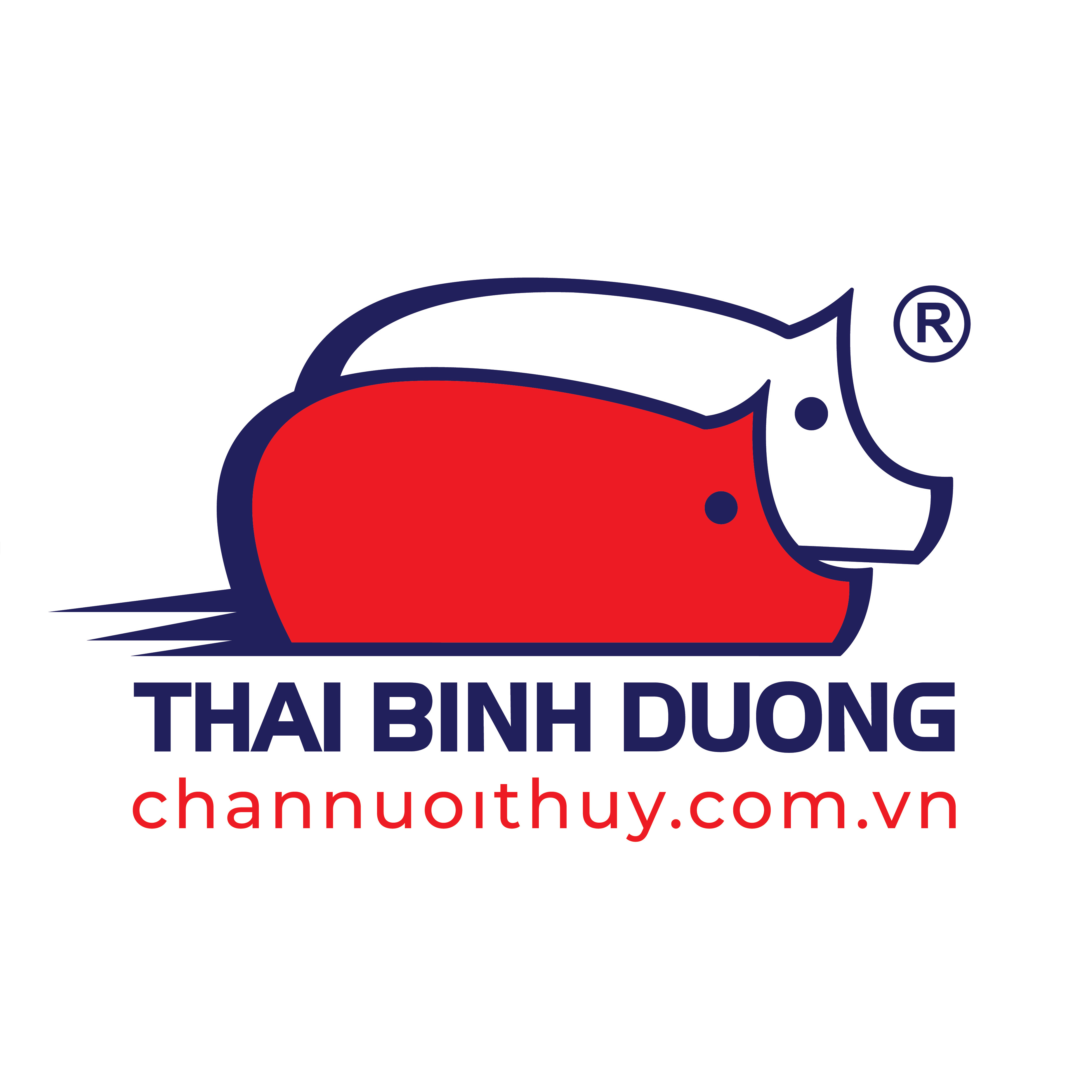 CÔNG TY CỔ PHẦN THƯƠNG MẠI DỊCH VỤ SẢN XUẤT THÁI BÌNH DƯƠNG