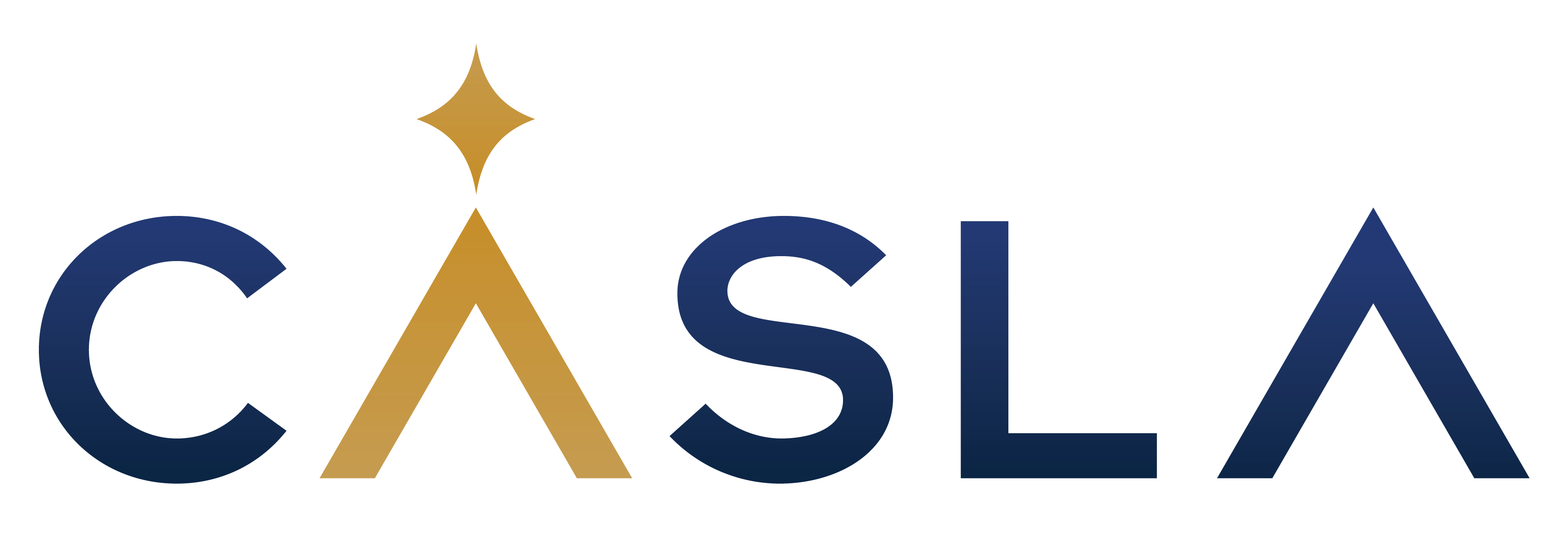 Công ty Cổ phần Casla logo-company
