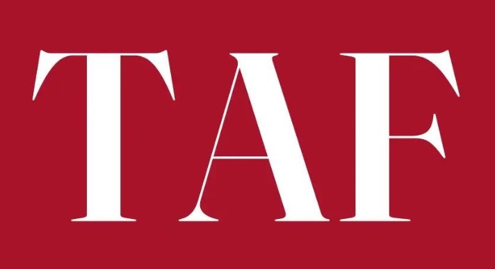 CÔNG TY TNHH TƯ VẤN KIỂM TOÁN TAF