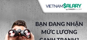Hiểu hơn về “trợ thủ” thông tin lương thưởng VietnamSalary