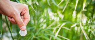 Phúc lợi tốt, mức lương có còn là yếu tố quyết định?