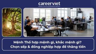 Mệnh Thổ hợp mệnh gì, khắc mệnh gì? Chọn sếp & đồng nghiệp hợp để thăng tiến