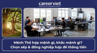 Mệnh Thổ hợp mệnh gì, khắc mệnh gì? Chọn sếp & đồng nghiệp hợp để thăng tiến