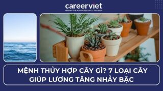 Mệnh Thủy hợp cây gì? 7 loại cây giúp lương tăng nhảy bậc