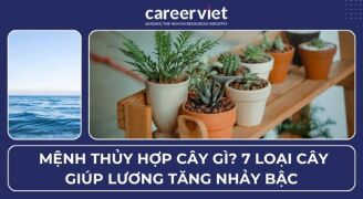 Mệnh Thủy hợp cây gì? 7 loại cây giúp lương tăng nhảy bậc