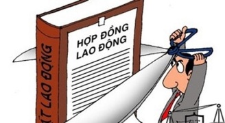 Không có hợp đồng khoán việc