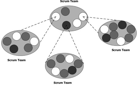 Scrum of Scrums