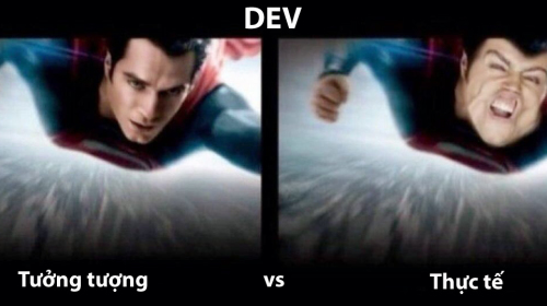 Dev: Tưởng tượng vs Thực tế