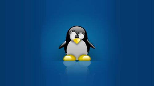 Tại sao một lập trình viên nên biết và sử dụng Linux ?