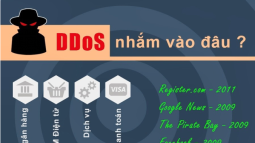 Infographic về tấn công Ddos