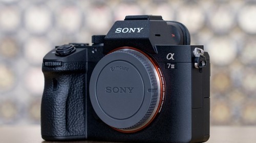 Cùng xem thử ảnh chụp trong điều kiện thiếu sáng của Sony A7 III, kết quả sẽ khiến bạn vô cùng kinh ngạc