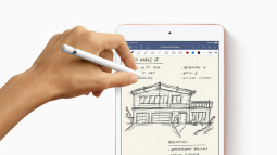 iPad Air và iPad mini mới chỉ hỗ trợ Apple Pencil đời đầu, vậy làm sao để phân biệt iPad nào tương thích với bút gì?