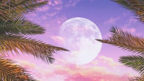 Thứ Sáu này, trên bầu trời sẽ xuất hiện Trăng Hồng