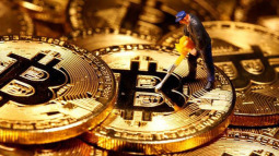 Bitcoin lập tiếp đỉnh cao mới: Vượt 28.000 USD