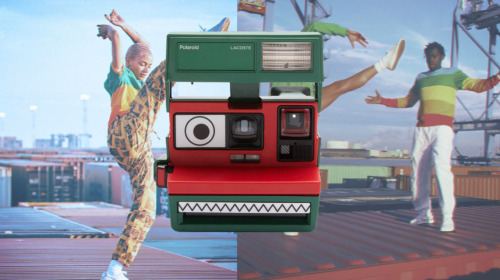 Polaroid hợp tác cùng Lacoste ra mắt bộ sưu tập quần áo và máy ảnh cực độc đáo