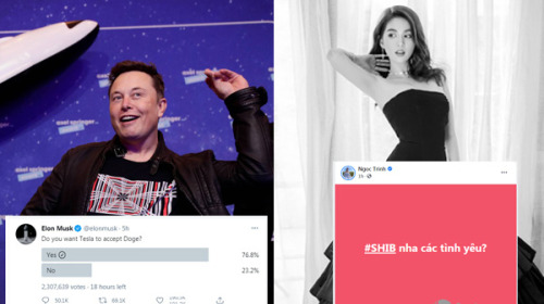 Từ Elon Musk đến Ngọc Trinh: Cơn sốt tiền ảo đầy cạm bẫy