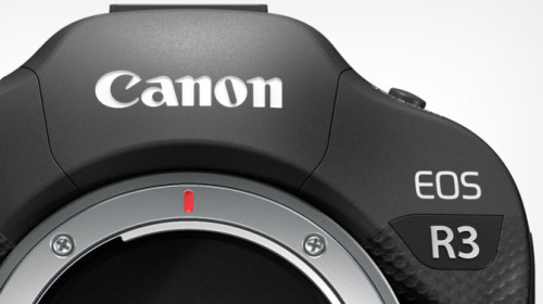 Theo Canon, thị trường máy ảnh đã đạt tới điểm bão hòa