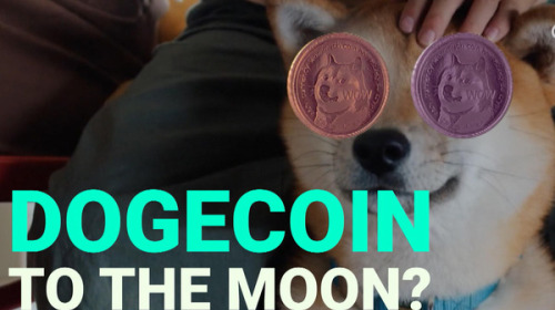 Bóng bóng Dogecoin nổ tung: Giá trị giao dịch có ngày giảm 93%, các ‘cá voi’ nắm giữ nhiều nhất lo sợ