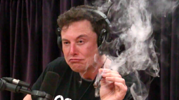 Elon Musk lại "chém gió": Cổ phiếu Tesla phải đáng giá 3.000 USD, "nếu họ định giá chính xác"