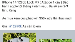 Mẫu iPhone 14 giá rẻ hơn cả iPhone 13 nhưng nên cân nhắc khi mua tại Việt Nam