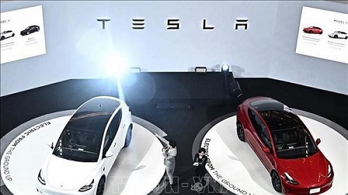 Tesla triệu hồi gần 363.000 xe điện do vấn đề với công nghệ hỗ trợ người lái